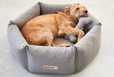 Small dog sleeping comfortably on Miacara Felice dog bed