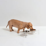 Hiddin Small Clear Pet Feeder with Silver Bowls