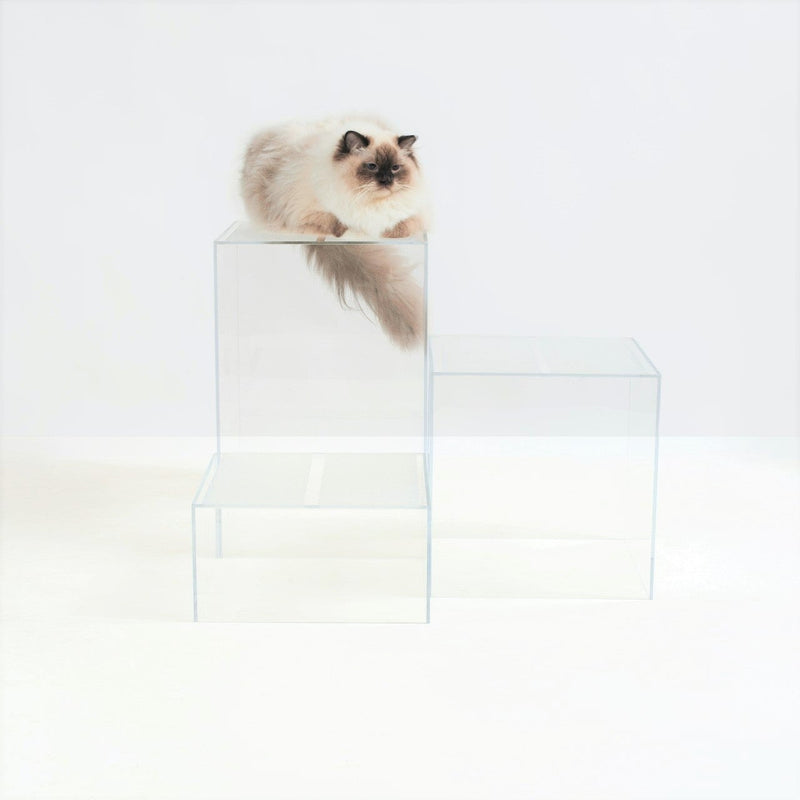 Clear Acrylic Cat Furniture by Hiddin