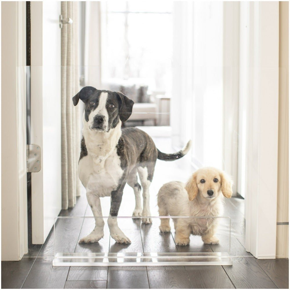 Hiddin Clear Freestanding Dog Gate Panel in Acrylic