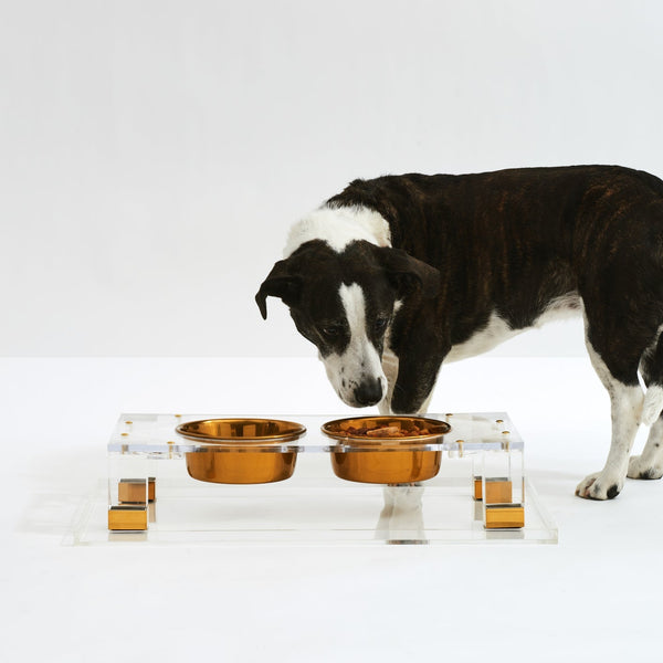 Raised dog bowls are better for feeding time.