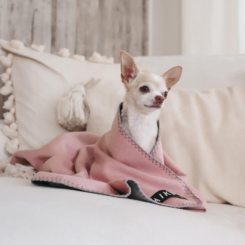 Warm pet blankets for cats and dogs by Paikka