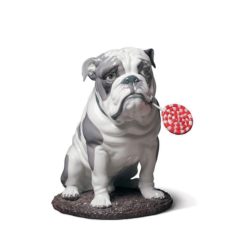 LLadro Bulldog With Lollipop