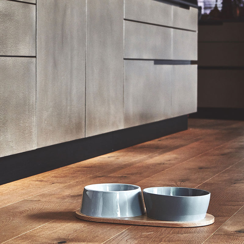 Modern Miacara porcelain water and food bowl with a tray for your dog