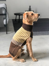 Designer Dog Sweater by Miacara makes the best gift for dogs