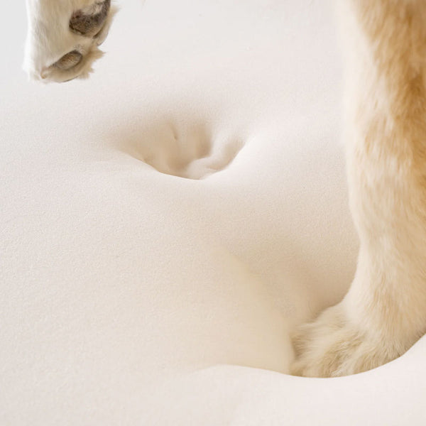 Pup Rug Faux Cowhide Memory Foam Large Dog Bed