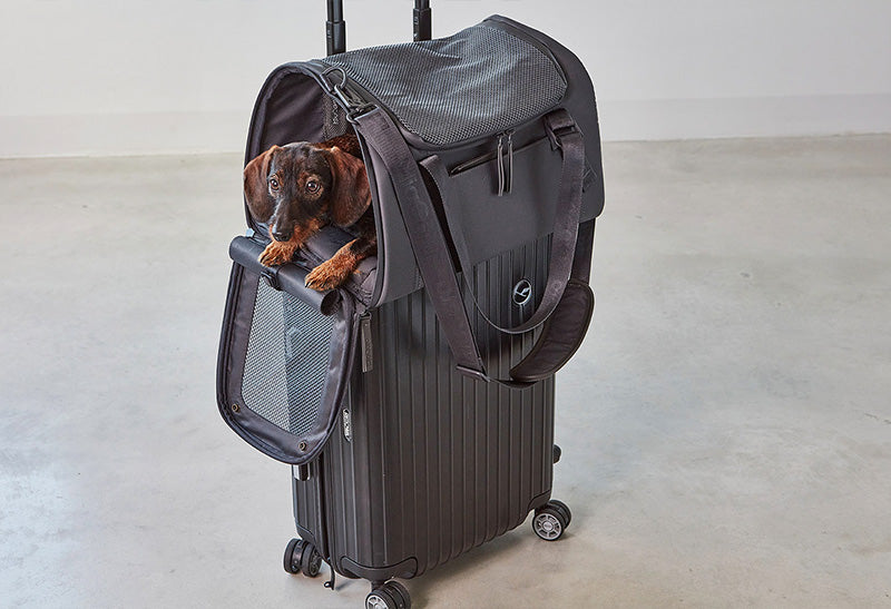 Miacara Volata Airline Pet Travel Carrier Bag