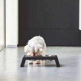 Designer elevated dog feeder from Miacara pet brand