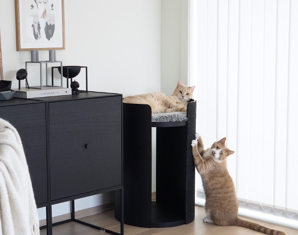 Torre by Miacara Modern Cat Scratching Post