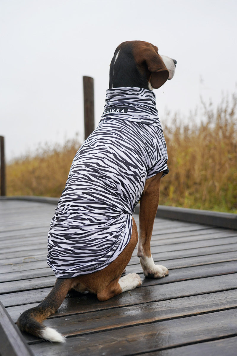 Shirt to protect your dog from bugs by Paikka