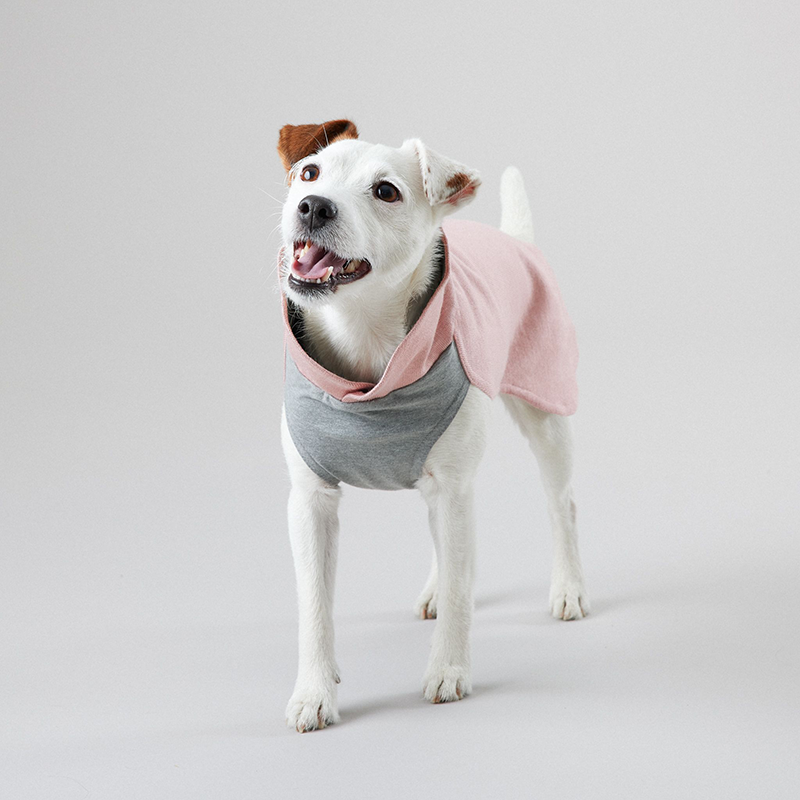 Paikka Dog Apparel Winter Shirt