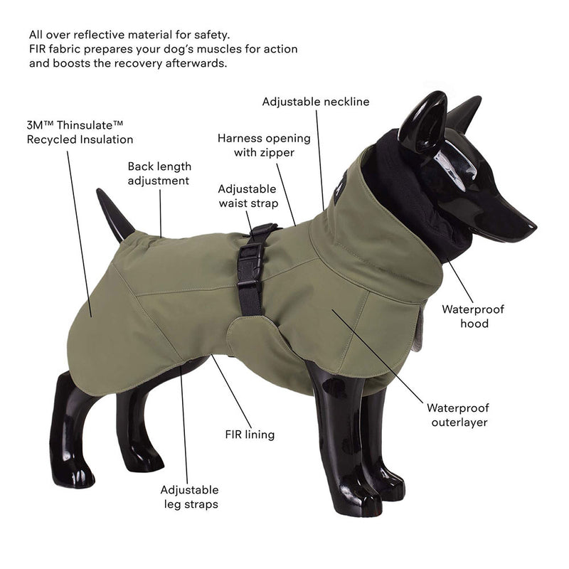 Paikka dog winter jacket in green color