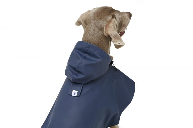 Dog rain jackets