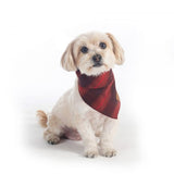 Holiday gift for dogs form Pendleton bandana set
