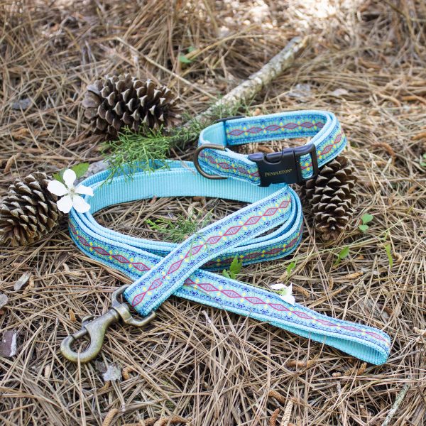 Blue color pendleton dog collar in turquoise