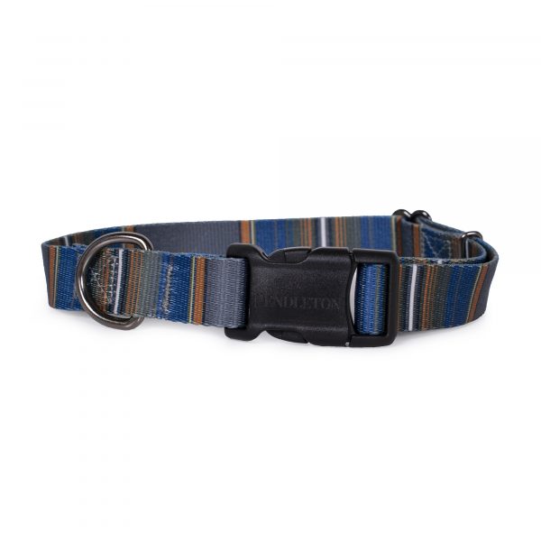 Pendleton Olympic National Park Adventure Dog Collar