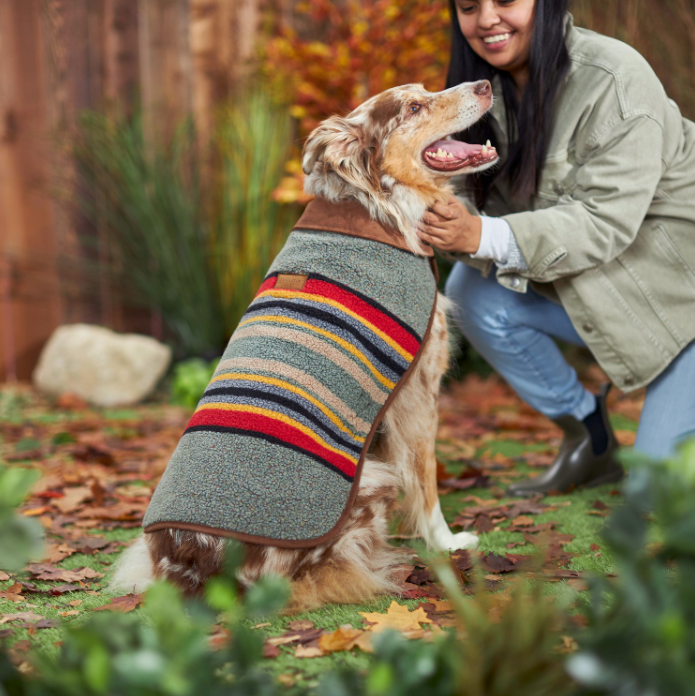Pendleton pet collection is iconic and stylish. Keep your dog warm this winter with Pendleton's iconic Yakima dog coat in heather green color.