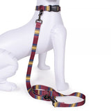 Pendleton Dog and Collar Leash Set in Zion Park Pattern