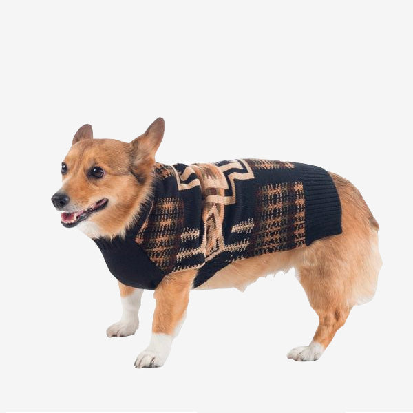 Pembroke welsh corgi wearing Pendleton harding winter dog sweater.