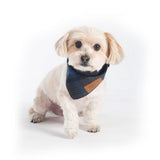 Pendleton pets bandana set for dogs