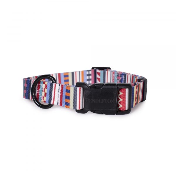 Labrador wearing Pendleton tamiami dog collar 