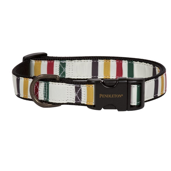 Pendleton dog collar in Glacier National Park colors for hikers.