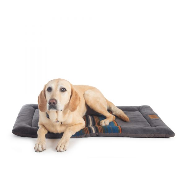 Pendleton cushion for travel