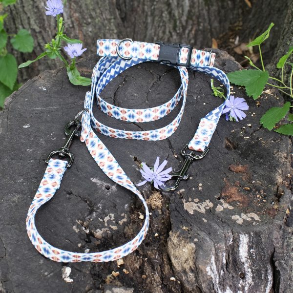 Pendleton dog leash and collar set
