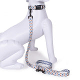 Pendleton falcon cove dog collar and leash set