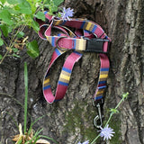 Quality Pendleton dog leash in Zion pattern