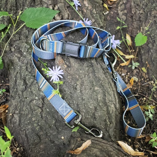 Pendleton dog leash in olympic national park color