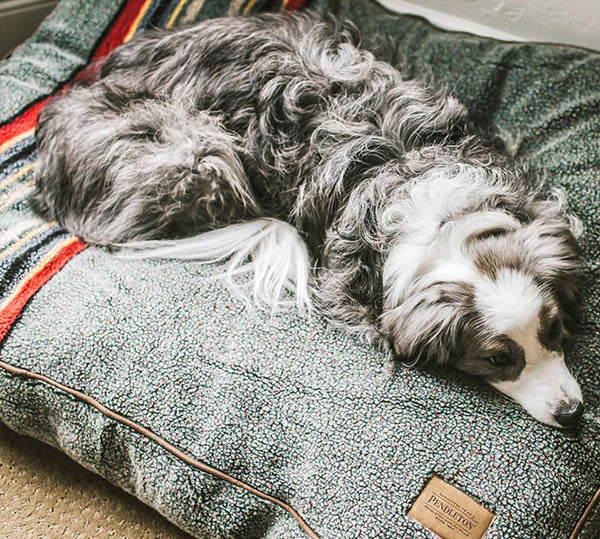Pendleton dog bed with vintage camp heather green color