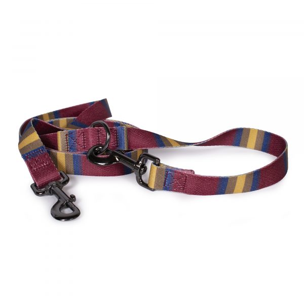 Pendleton Zion National Park Adventure Dog Leash