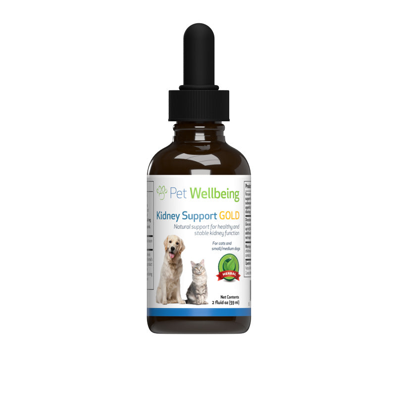 Pet Wellbeing Kidney Support GOLD Bacon Flavored Liquid Kidney Supplement for Cats and Small Dogs, 2-oz bottle