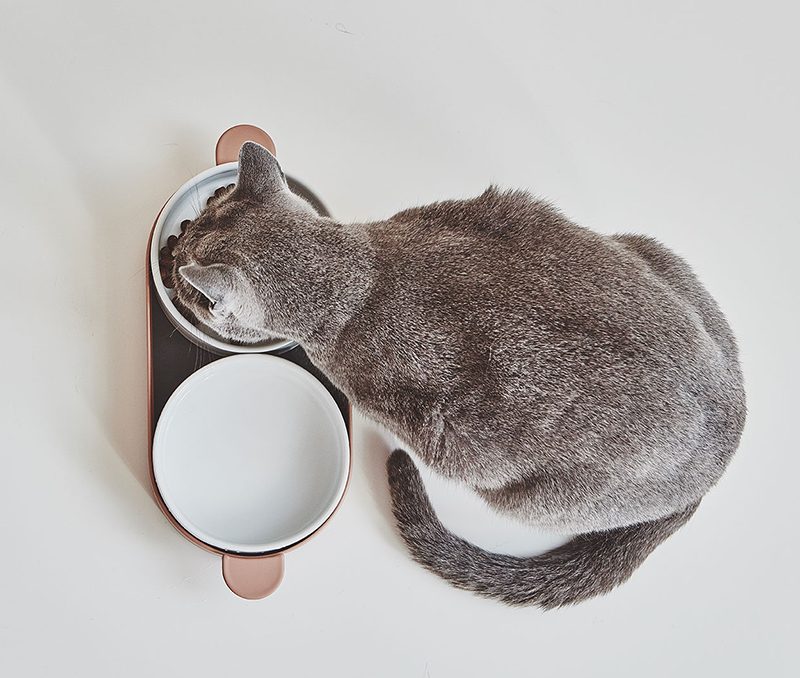 High quality porcelain cat food bowl and water bowl.