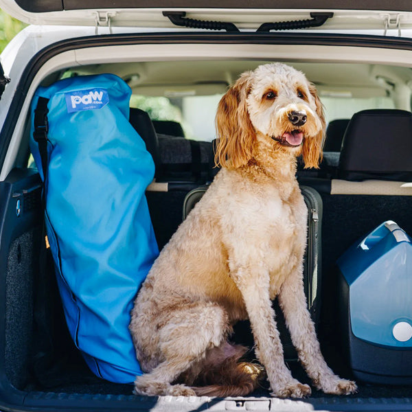 Large Size Dog With Travel Bed in Car