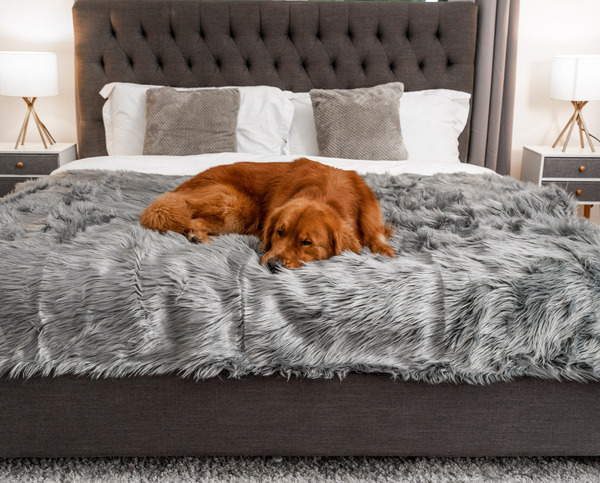 Protect your bed or sofa from your pets with pup protector dog blanket
