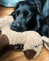 Large dog black Labrador with his Barbour rabbit toy