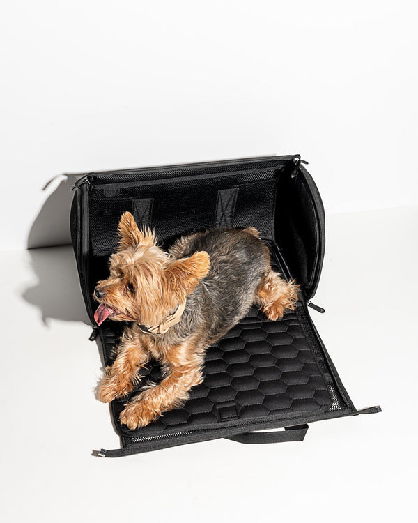 Carle Travel Carrier - Black Dots – Designer Dog CarriersDesigner Dog  Carriers