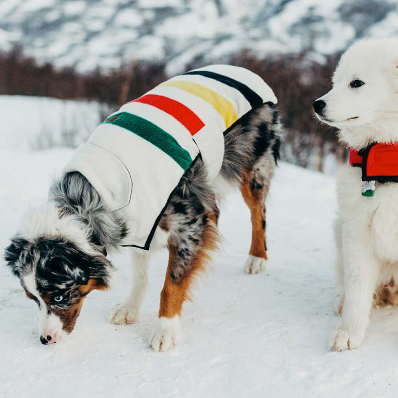 Pendleton Pet Collection Dog Winter Jacket