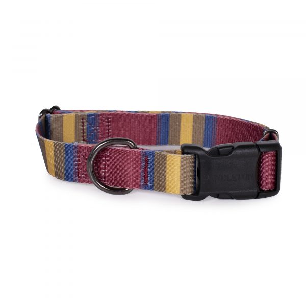 Pendleton Zion National Park Adventure Dog Collar