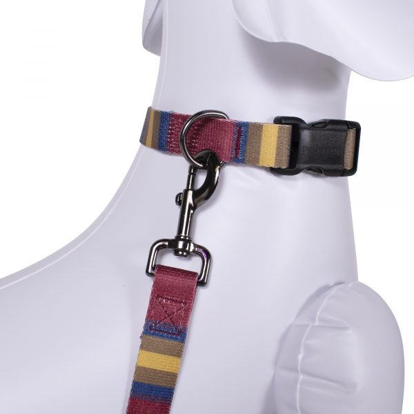 Pendleton Dog Collar in Zion National Park Adventure pattern