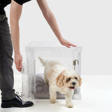 Small dog in acrylic dog gate with clear design