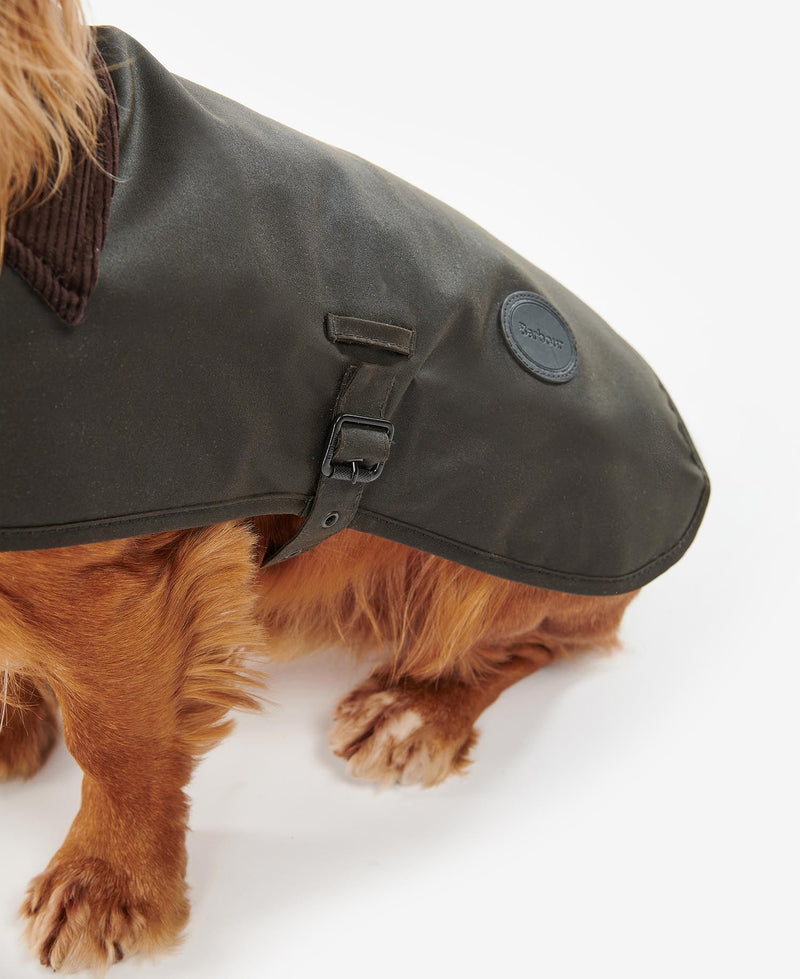 Designer dog jacket from Barbour in olive color