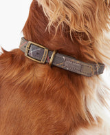 Leather dog collar with tartan trim
