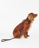 Barbour Dogs tartan dog leash