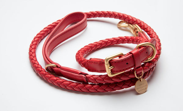 Red leather italian leather designer dog collar