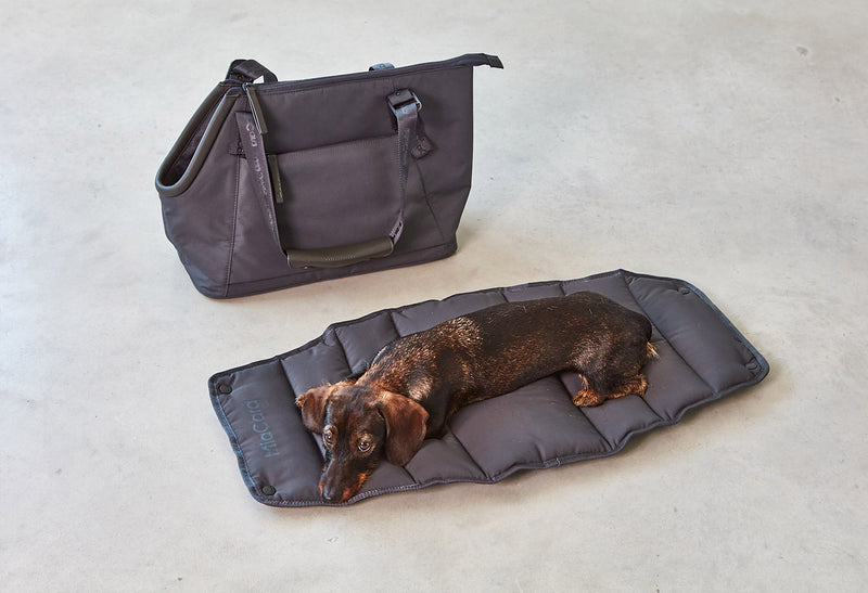 Best dog carrier for small pets from Miacara