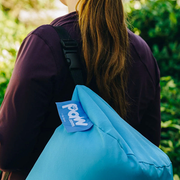 Dog owner carrying Paw Brand portable dog travel bed