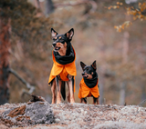 paikka dog coats are the best waterproof rainjackets